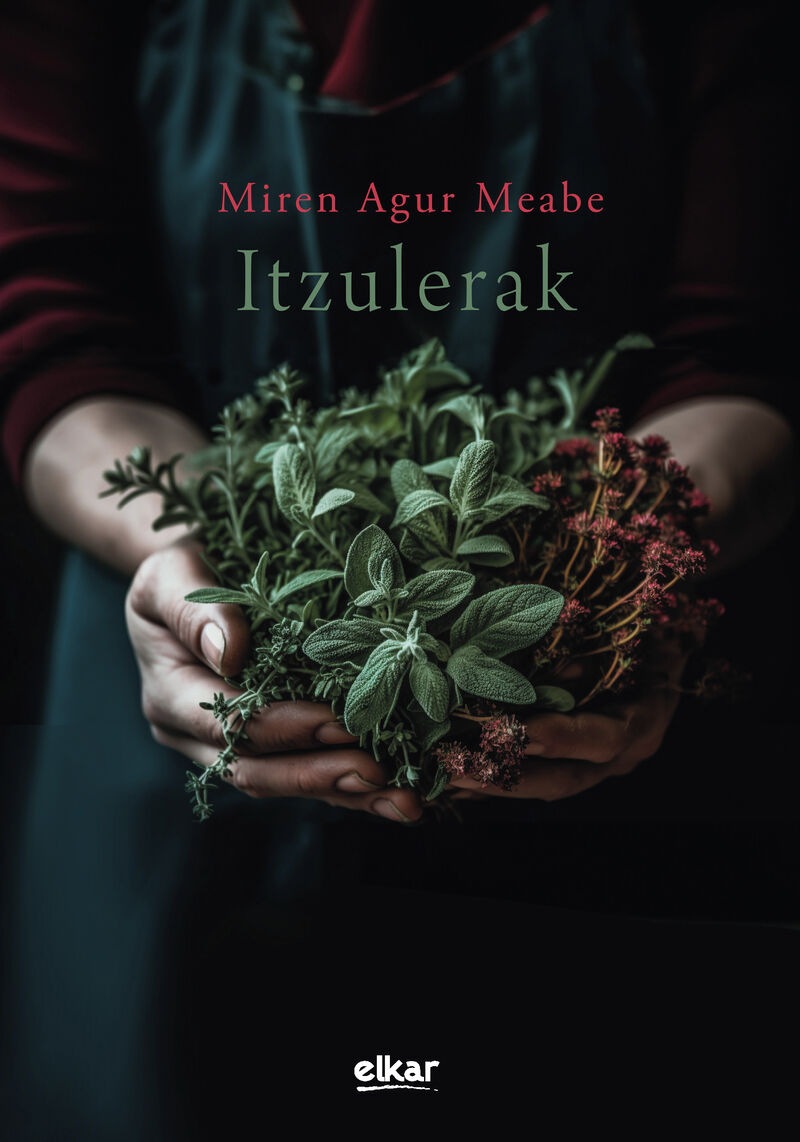 Itzulerak (Paperback, Euskara language, 2023, Elkar)