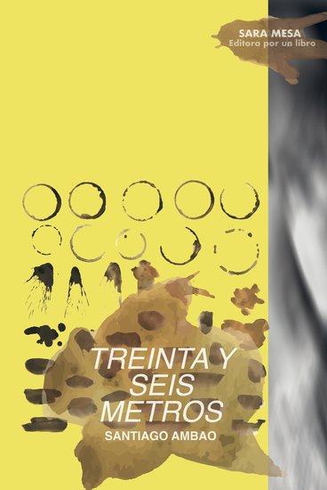 Treinta y seis metros (Paperback, Castellano language, Barrett)