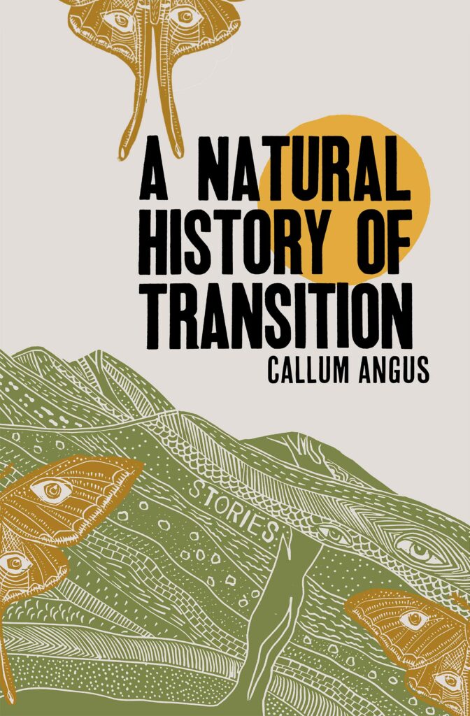 Natural History of Transition (2021, Metonymy Press)